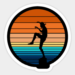 Retro Sunset Karate Sticker